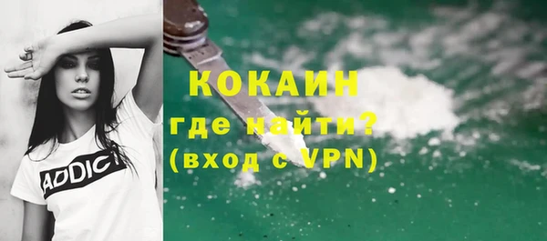 твердый Дмитровск