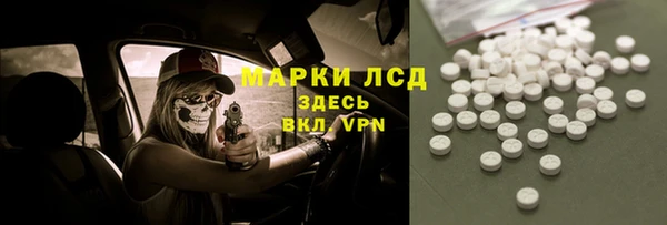 твердый Дмитровск