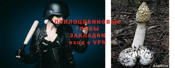 mdpv Дмитриев