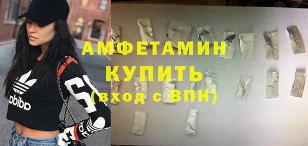 твердый Дмитровск